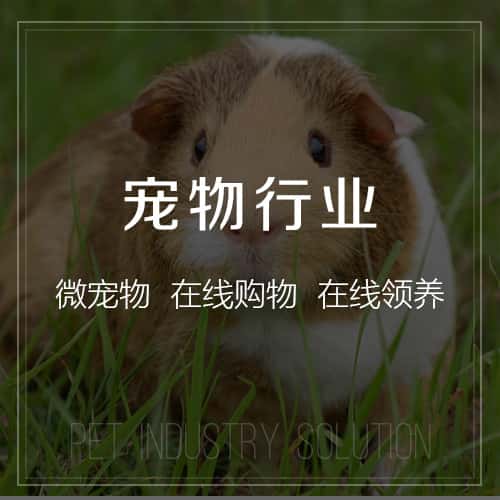 仙桃宠物