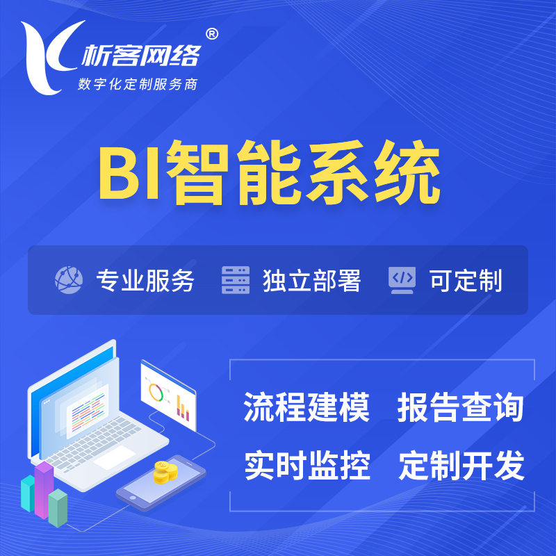 仙桃BI智能系统 | BI数据可视化